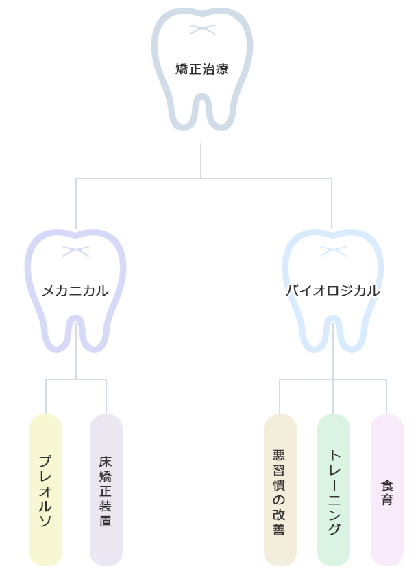 子供の床矯正で大切なこと